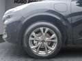 Ford Kuga ST-Line PHEV AHK ACC KAM NAVI LED WI-PKT Schwarz - thumbnail 7