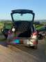 SEAT Ibiza Ibiza 1.6 TDI CR SUN Grau - thumbnail 3