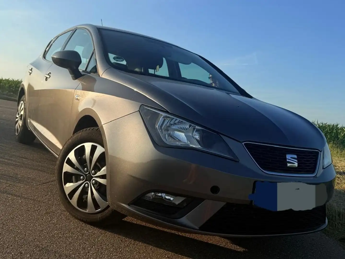 SEAT Ibiza Ibiza 1.6 TDI CR SUN Grau - 1