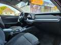 Skoda Octavia Combi Style 2.0 TDI*Automat*Led*Ahk*Acc Noir - thumbnail 12