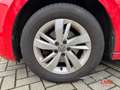 Volkswagen Polo VI Comfortline Sitzheizung Klima LM-Felgen Winter- Rosso - thumbnail 13