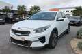Kia XCeed Diesel, DCT, 1.Hand, Kamera, Navi, ACC Weiß - thumbnail 2