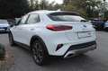 Kia XCeed Diesel, DCT, 1.Hand, Kamera, Navi, ACC Weiß - thumbnail 4