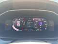 CUPRA Formentor CUPRA Formentor 2.0 TDI 110 kW (150 PS) 7-Gang-D Gris - thumbnail 10