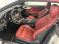 Mercedes-Benz C 200 Cabrio "Night Edition" / AMG Sportpaket ! Weiß - thumbnail 16