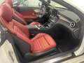 Mercedes-Benz C 200 Cabrio "Night Edition" / AMG Sportpaket ! Weiß - thumbnail 17