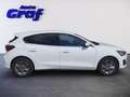 Ford Focus 1,0 EcoBoost Hybrid Titanium Weiß - thumbnail 3