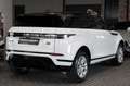 Land Rover Range Rover Evoque |R-Dynamic S|PANO|360 KAMERA| Weiß - thumbnail 7