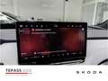 Skoda Elroq 85 First Edition SPORT MAXX LED NAVI Groen - thumbnail 16