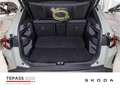 Skoda Elroq 85 First Edition SPORT MAXX LED NAVI Groen - thumbnail 9