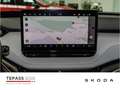 Skoda Elroq 85 First Edition SPORT MAXX LED NAVI Groen - thumbnail 11