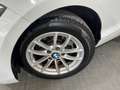 BMW 116 116d Blanco - thumbnail 22