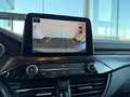 Ford Kuga VIGNALE FULL HYBRIDE FHEV AUTOMAAT Gris - thumbnail 10