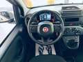 Fiat Panda 1.0 firefly hybrid s Bianco - thumbnail 10