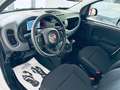 Fiat Panda 1.0 firefly hybrid s Bianco - thumbnail 9