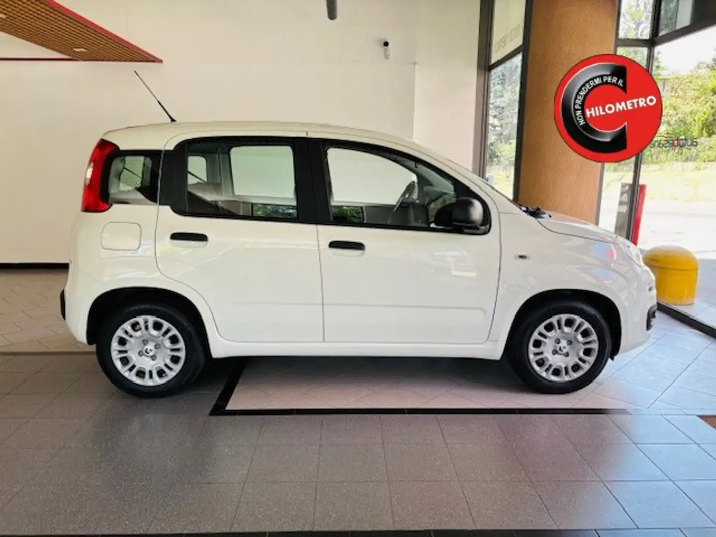 Fiat Panda 1.0 firefly hybrid s Bianco - 1