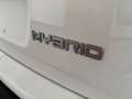 Fiat Panda 1.0 firefly hybrid s Bianco - thumbnail 13