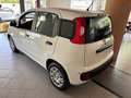 Fiat Panda 1.0 firefly hybrid s Bianco - thumbnail 7