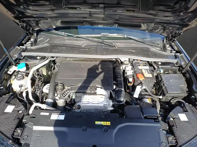 DS Automobiles DS 4 view 8