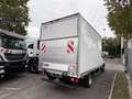 Iveco Daily 35C160 MOTORE 3000 NUOVO Blanc - thumbnail 5