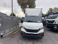 Iveco Daily 35C160 MOTORE 3000 NUOVO Blanc - thumbnail 2