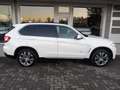 BMW X5 Xdrive 25d Autom + Pack M Blanc - thumbnail 3
