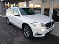 BMW X5 Xdrive 25d Autom + Pack M bijela - thumbnail 1