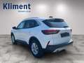 Ford Kuga 2,5 Duratec FHEV Titanium Aut. Bílá - thumbnail 3