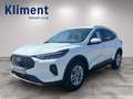 Ford Kuga 2,5 Duratec FHEV Titanium Aut. Bílá - thumbnail 10