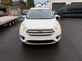 Ford Kuga Business Edition Blanc - thumbnail 1