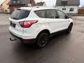 Ford Kuga Business Edition Blanc - thumbnail 5