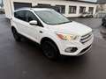 Ford Kuga Business Edition Blanc - thumbnail 2