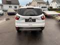 Ford Kuga Business Edition Weiß - thumbnail 15