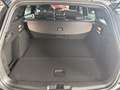 Ford Focus FOCUS CLIPPER ST-LINE X 1.0 ECOBOOST 155CV BVA7-I - thumbnail 8