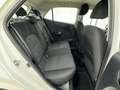 Kia Picanto 1.0 12V 5 porte Active Bianco - thumbnail 5