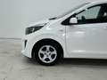 Kia Picanto 1.0 12V 5 porte Active Bianco - thumbnail 9