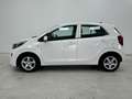 Kia Picanto 1.0 12V 5 porte Active Bianco - thumbnail 8