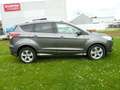 Ford Kuga Individual Teilleder/Winter-/Stylepaket/Alus/Top ! Grau - thumbnail 4