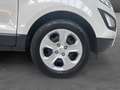 Ford EcoSport Ecosport 1.0 EcoBoost /APPLE CARPLAY/SG CHAUFF/ Beige - thumbnail 18