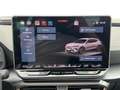 CUPRA Formentor 2.0 TDI DSG FACELIFT LED*NAV*ACC*SHZ*PARKLENK*K... Grau - thumbnail 14