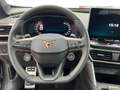 CUPRA Formentor 2.0 TDI DSG FACELIFT LED*NAV*ACC*SHZ*PARKLENK*K... Grau - thumbnail 13
