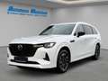 Mazda CX-80 Homura Plus AWD 3.3 e-SKYACTIV-D 254 HUD El. Panod Weiß - thumbnail 1