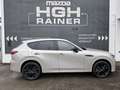 Mazda CX-60 2.5L e-SKYACTIV PHEV AWD HOMURA  COSO Aut. Beige - thumbnail 7