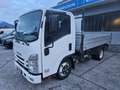 Isuzu NKR M21 CASSONE RIBALTABILE Blanc - thumbnail 8