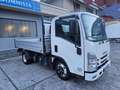 Isuzu NKR M21 CASSONE RIBALTABILE Blanc - thumbnail 9