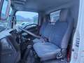 Isuzu NKR M21 CASSONE RIBALTABILE Blanc - thumbnail 6
