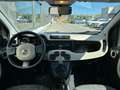 Fiat Panda Trekking/1.Hand/Scheckheftgepflegt/Klima/Teilleder Vert - thumbnail 12