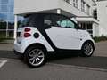 smart forTwo Artic Soleil Weiß - thumbnail 5