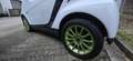 smart forTwo Artic Soleil Weiß - thumbnail 6