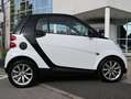 smart forTwo Artic Soleil Weiß - thumbnail 8